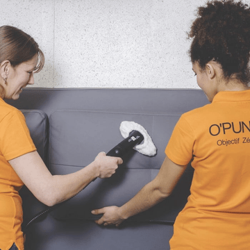 Ô Flair – Détection canine des punaises de lit par Ô Punaise