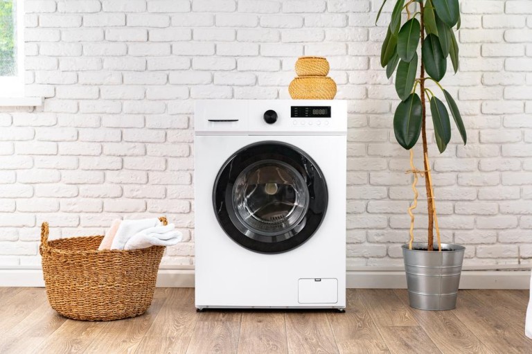 Traitement professionnel des mites à Paris, méthodes écologiques